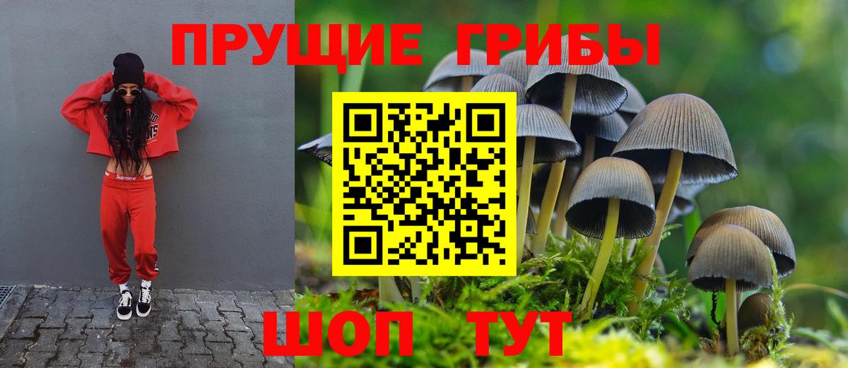 где можно купить   Вход с VPN  Учалы  Галлюциногенные грибы прущие грибы 